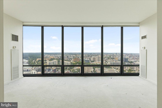 unfurnished room featuring carpet floors and expansive windows