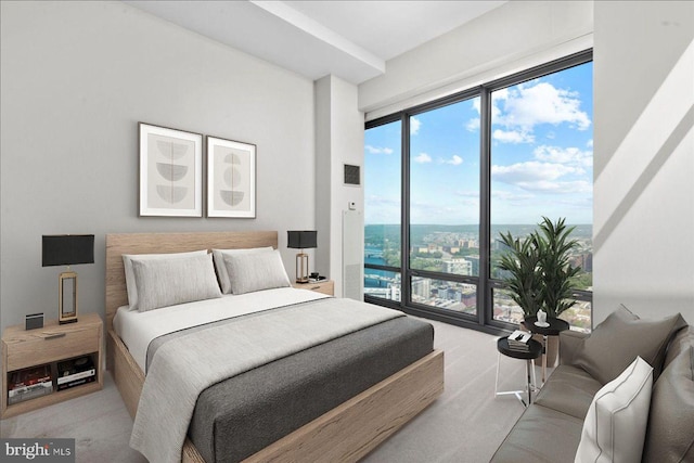 bedroom with floor to ceiling windows and multiple windows