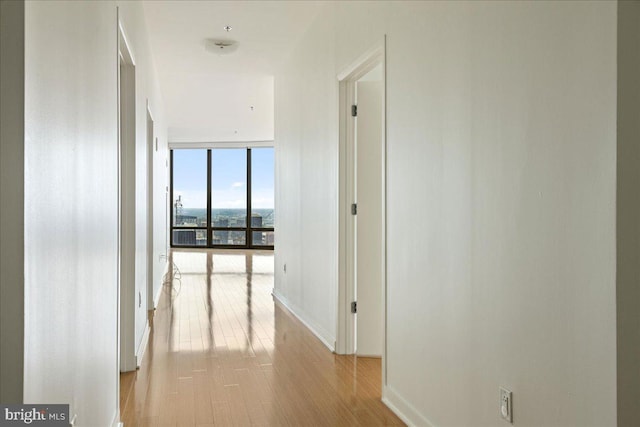 hallway featuring light wood-type flooring and a wall of windows