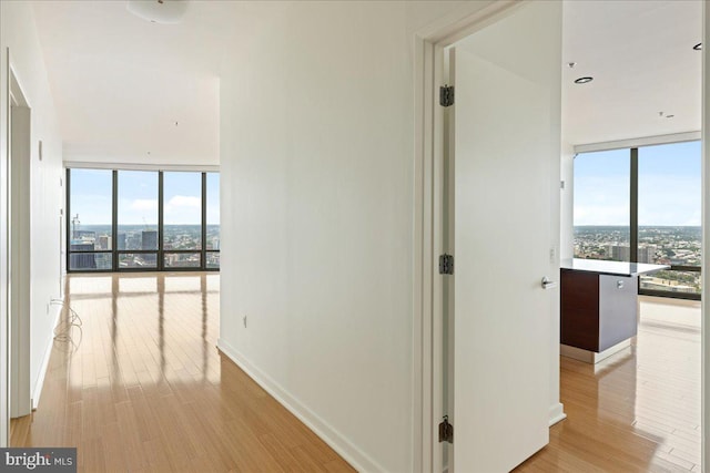 hallway featuring light hardwood / wood-style floors, plenty of natural light, and expansive windows