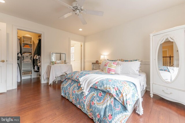 bedroom with a walk in closet, ceiling fan, a closet, and dark hardwood / wood-style floors