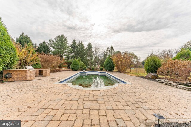 view of swimming pool featuring a patio area and exterior kitchen