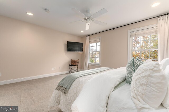 carpeted bedroom with ceiling fan and multiple windows