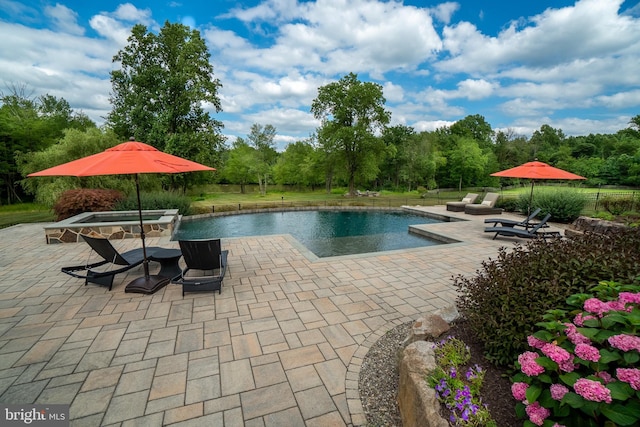 view of pool featuring a patio