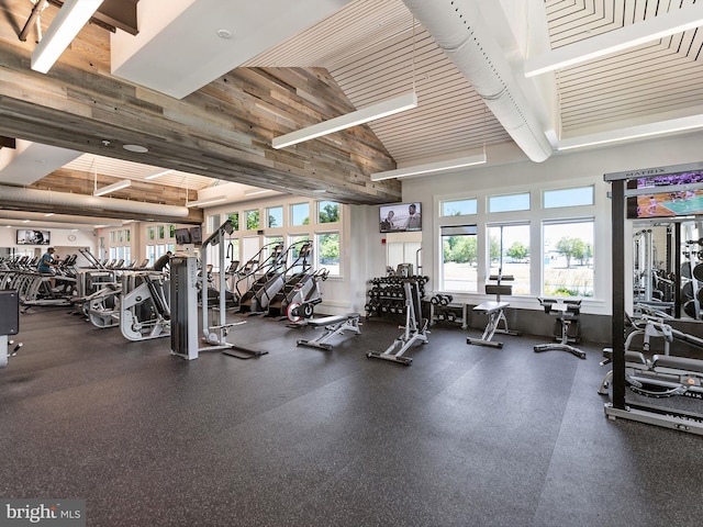 exercise room with wooden walls, high vaulted ceiling, and a healthy amount of sunlight