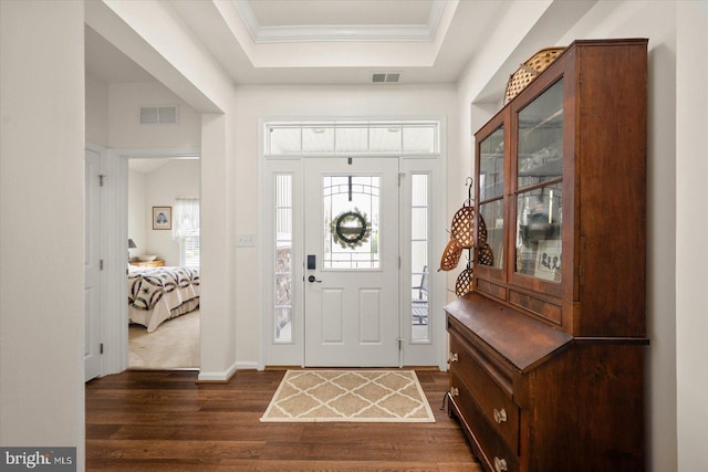 foyer entrance with a wealth of natural light, dark hardwood / wood-style flooring, and a tray ceiling