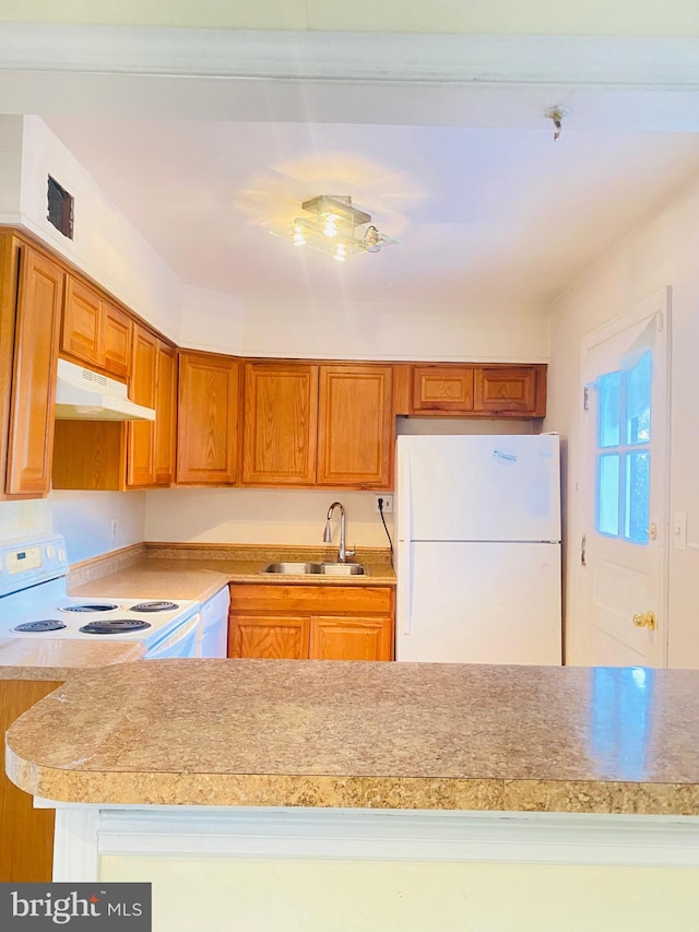 kitchen featuring white appliances, brown cabinetry, light countertops, under cabinet range hood, and a sink