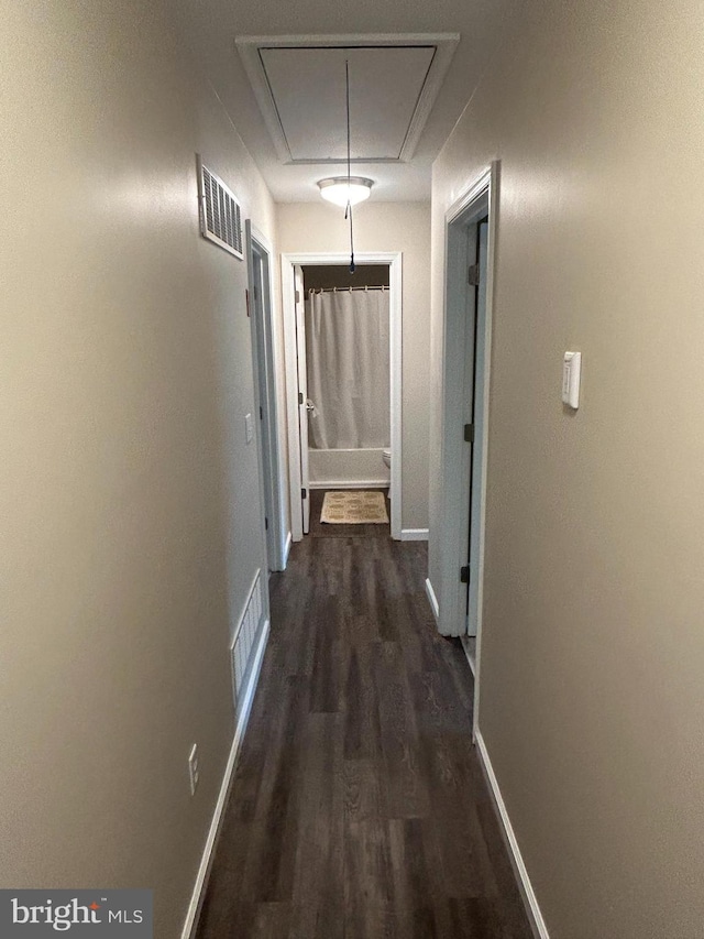 corridor featuring dark hardwood / wood-style floors