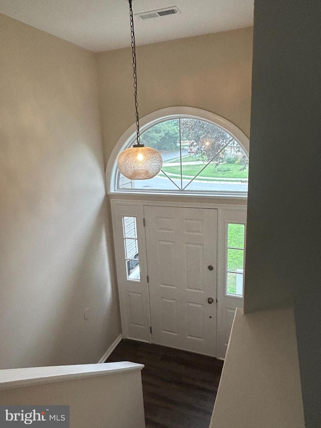 foyer entrance with dark hardwood / wood-style flooring and plenty of natural light