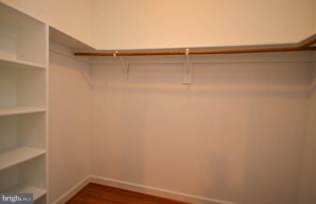 walk in closet featuring wood-type flooring