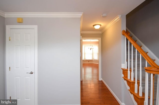 corridor featuring wood-type flooring and ornamental molding