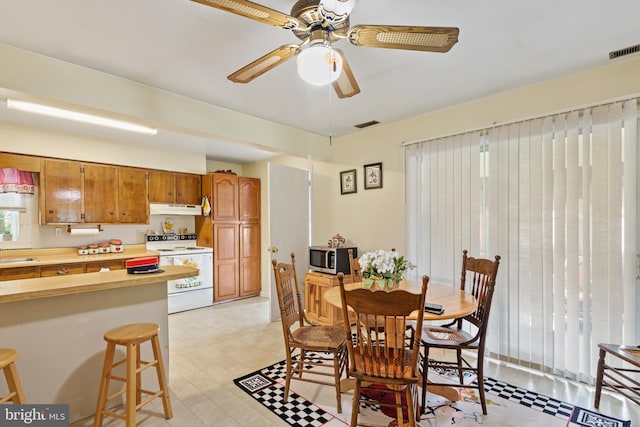 dining room featuring ceiling fan and sink