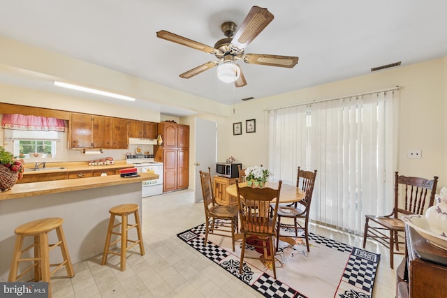 dining space with sink and ceiling fan