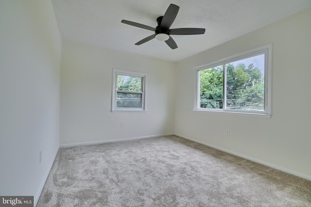 spare room featuring plenty of natural light, light colored carpet, and a textured ceiling