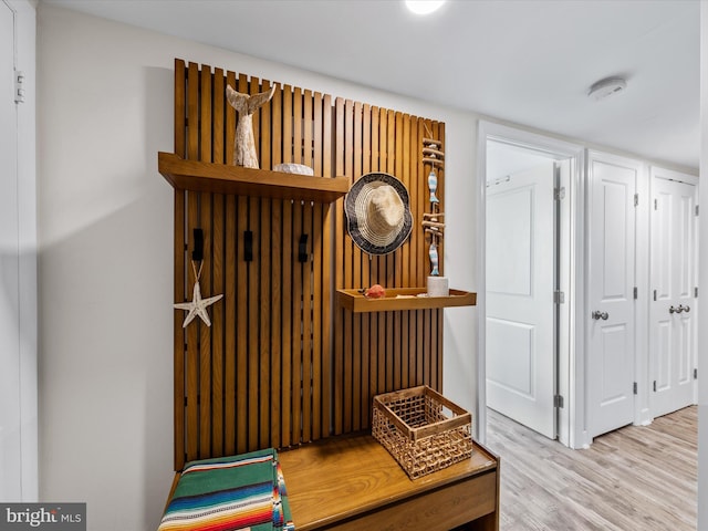 mudroom featuring light wood-type flooring