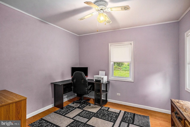 office space with hardwood / wood-style floors, ceiling fan, and crown molding