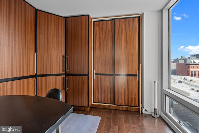 interior space featuring floor to ceiling windows and dark hardwood / wood-style floors