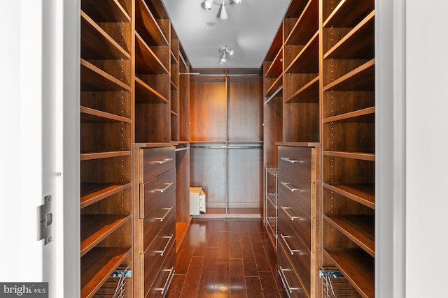 walk in closet with dark hardwood / wood-style floors