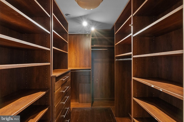 view of walk in closet