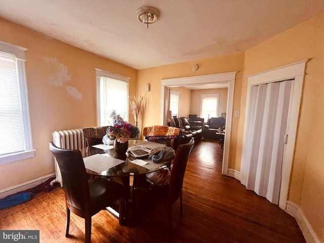 dining space featuring hardwood / wood-style floors