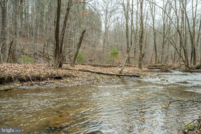 view of water feature