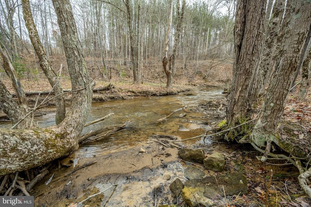 view of local wilderness