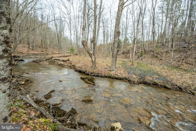 view of water feature