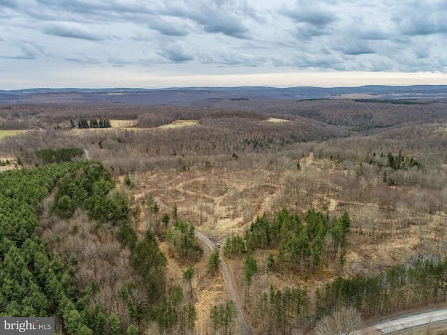 bird's eye view