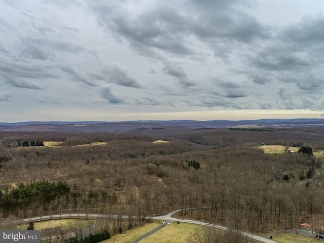 birds eye view of property with a mountain view and a rural view