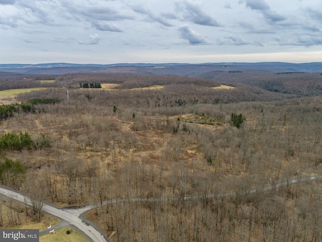 view of mountain feature