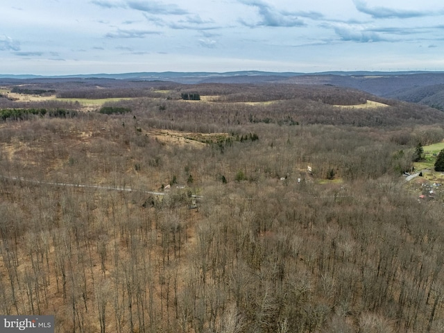 view of mountain feature