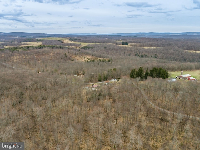 drone / aerial view with a mountain view