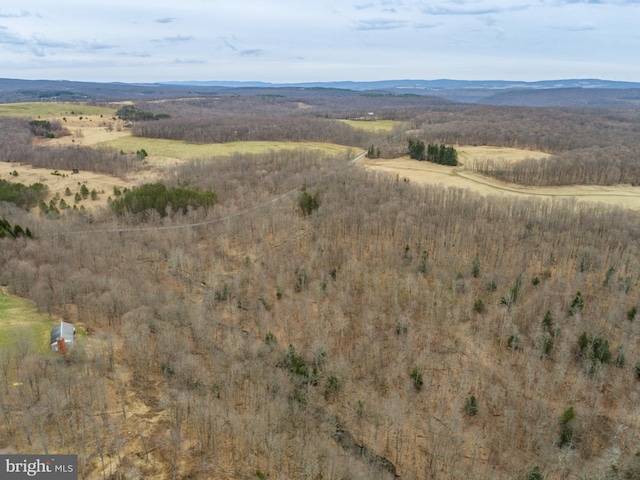 birds eye view of property featuring a mountain view and a rural view