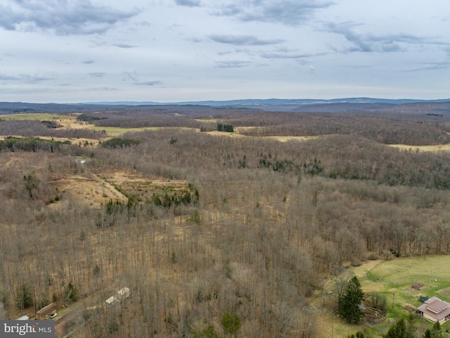 view of mountain feature