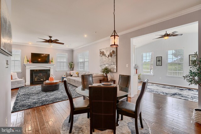 dining room featuring a wealth of natural light, ceiling fan, and hardwood / wood-style floors