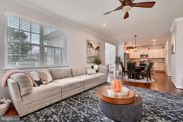 living room featuring ornamental molding, ceiling fan, dark hardwood / wood-style floors, and a healthy amount of sunlight