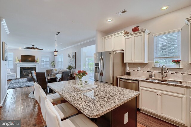 kitchen featuring stainless steel appliances, a wealth of natural light, ceiling fan, and sink