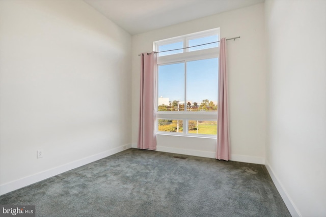 carpeted spare room with a healthy amount of sunlight