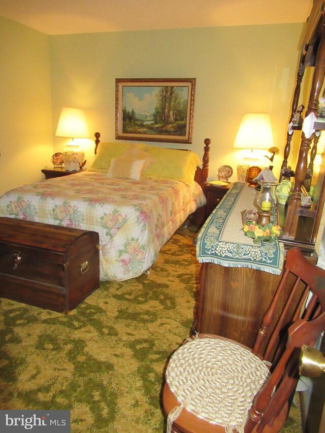 bedroom featuring carpet flooring