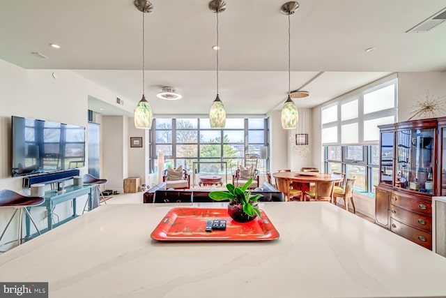 dining area with a wealth of natural light