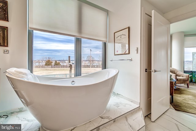 bathroom with a washtub