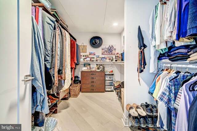 spacious closet with light hardwood / wood-style flooring