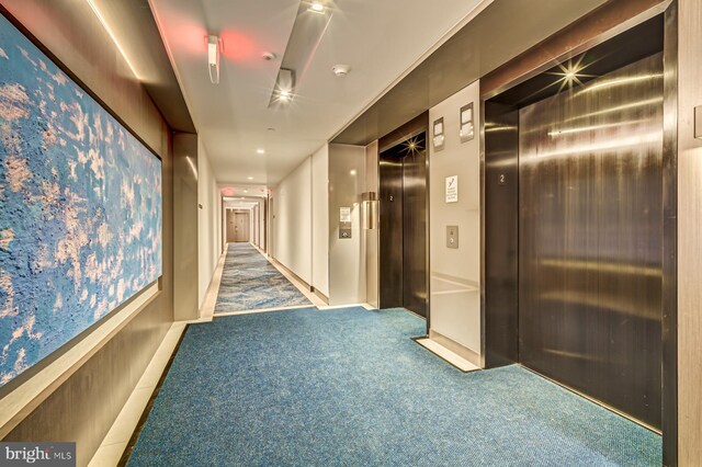 corridor with carpet flooring and elevator