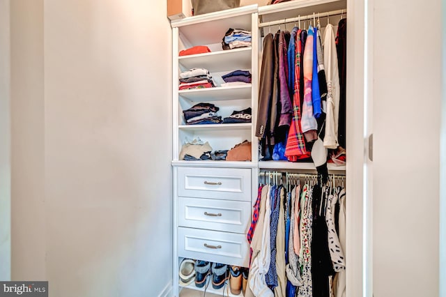 view of closet