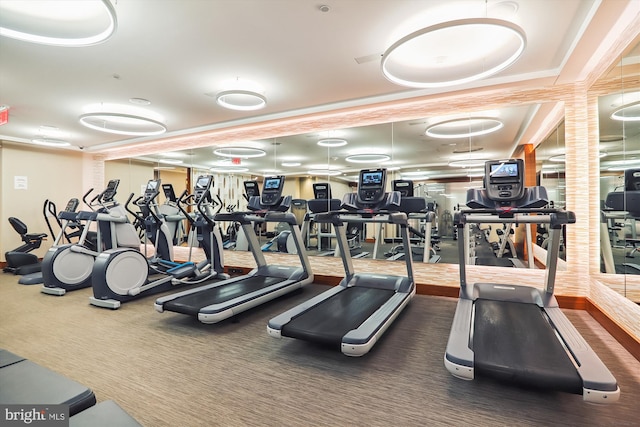 exercise room featuring carpet flooring