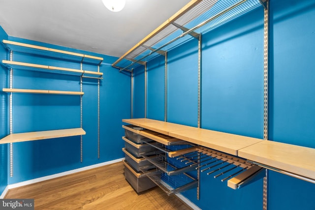 walk in closet featuring hardwood / wood-style flooring