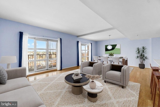 living room featuring light hardwood / wood-style flooring