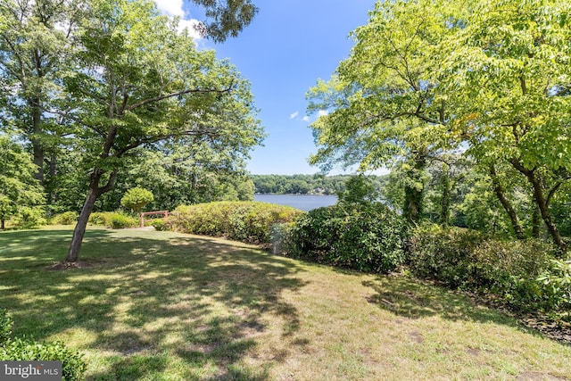 view of yard with a water view