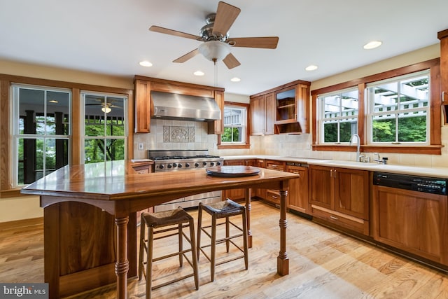 kitchen with paneled dishwasher, sink, high end stainless steel range, light hardwood / wood-style floors, and extractor fan