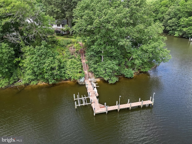 dock area with a water view